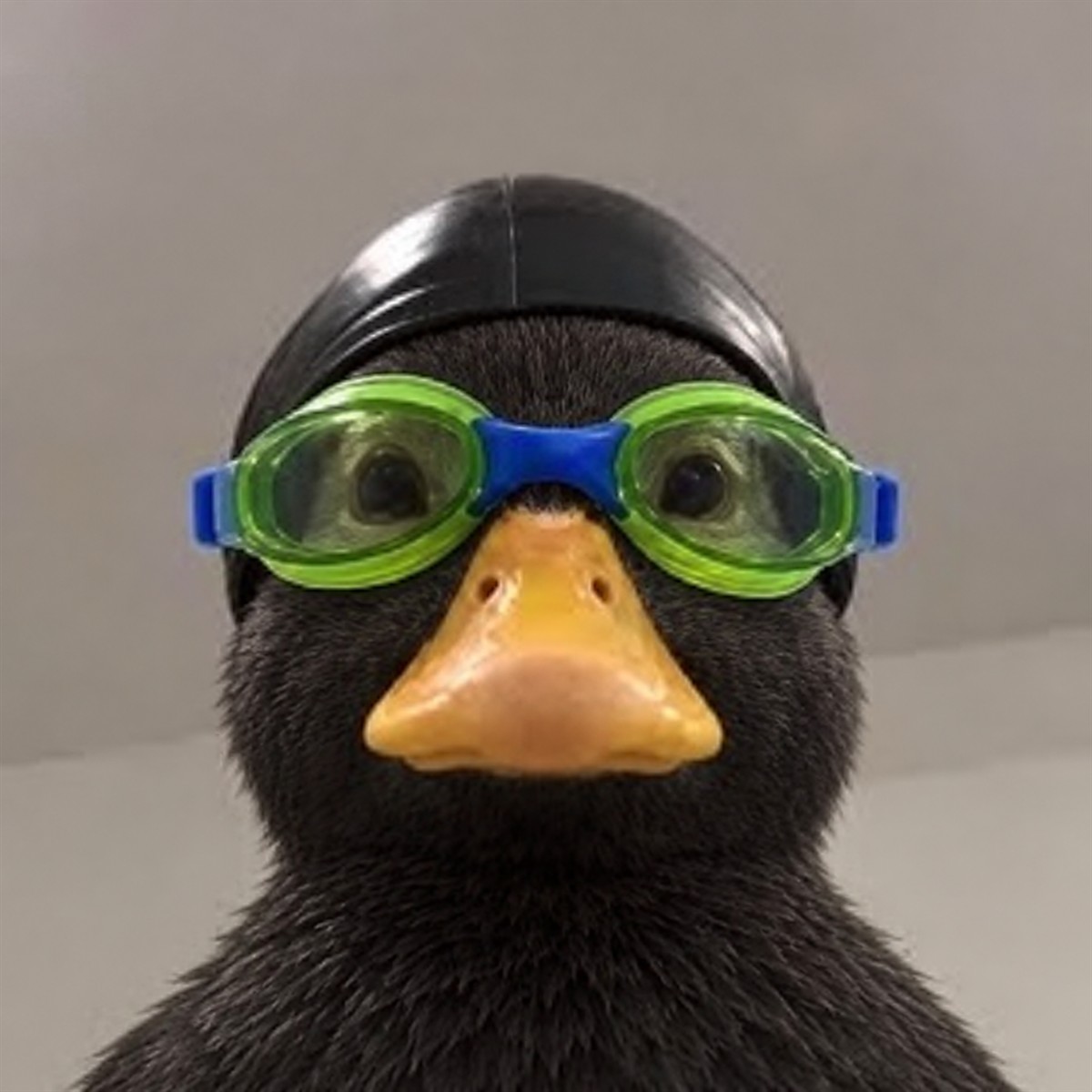 NAS BLACK wearing green swimming goggles and a black cap